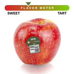 Wild Twist Apple - Each