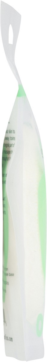 slide 2 of 11, Earth Therapeutics Exfoliating Hydro Round Sponge, 1 ct