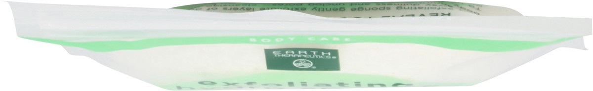 slide 3 of 11, Earth Therapeutics Exfoliating Hydro Round Sponge, 1 ct