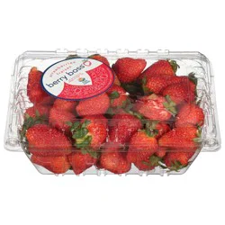 Berry Boss Florida Strawberries 2lb