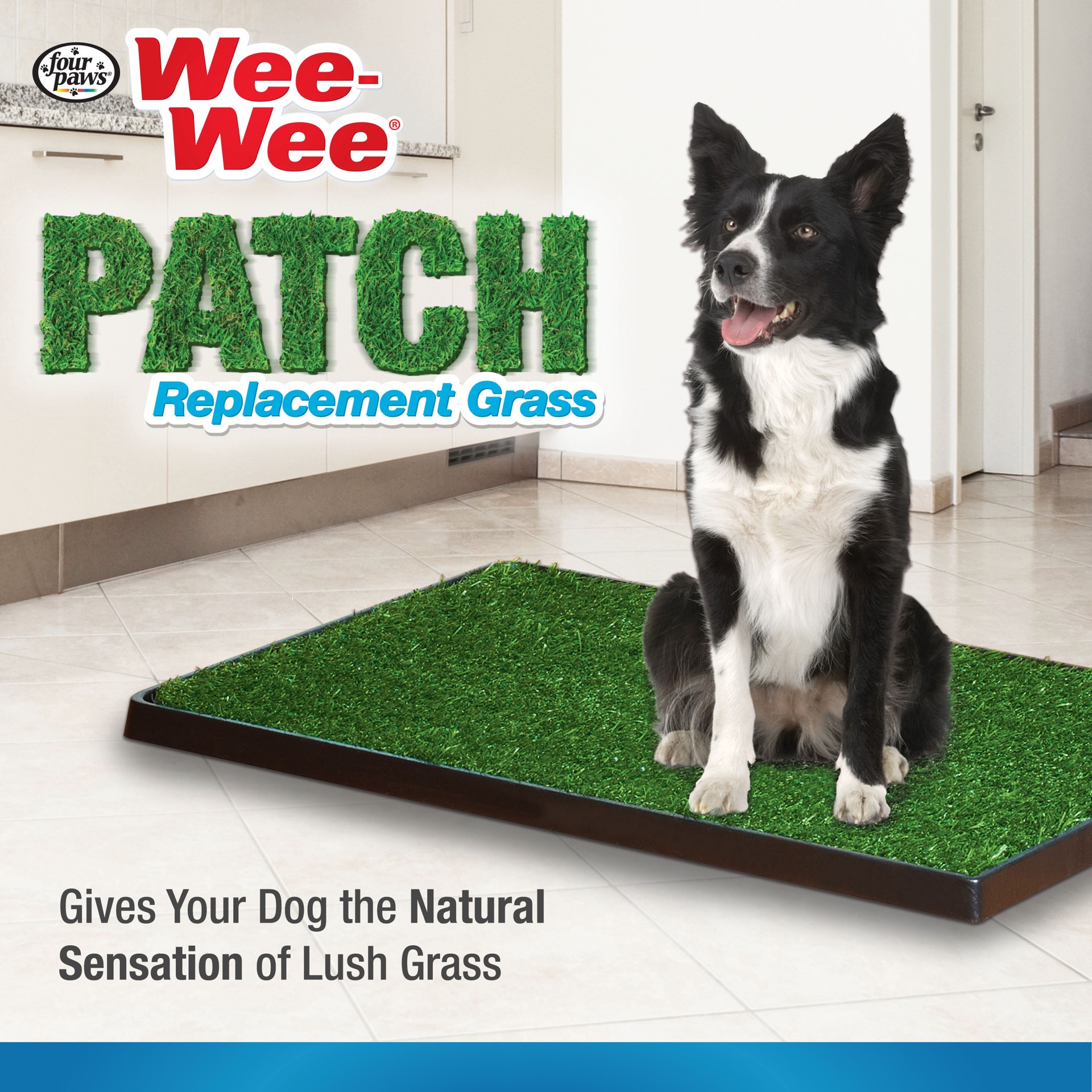 slide 4 of 8, Four Paws Wee-Wee Dog Grass Replacement Patch Medium(1 Count), 1 ct
