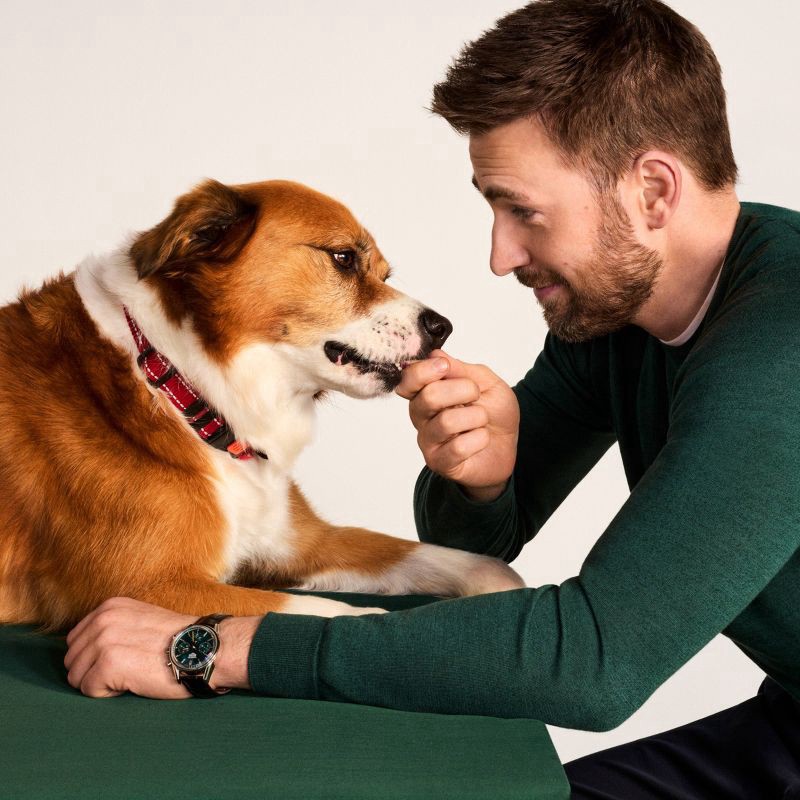 slide 2 of 9, Jinx Chicken Bone Broth Biscuits, Crunchy Dry Dog Treats, 16 oz Bag, 16 oz