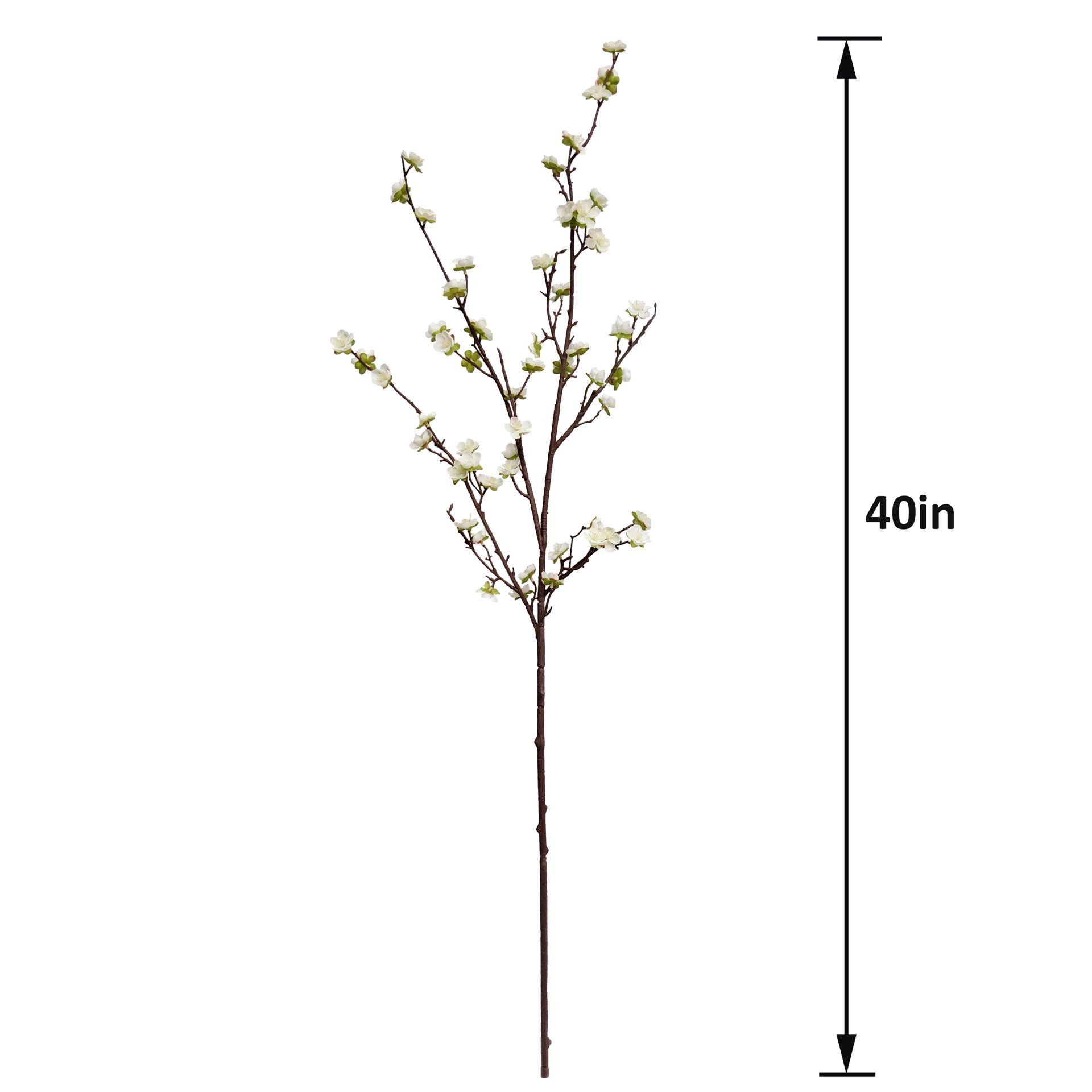 slide 3 of 3, 40" Cream Blossom Stem By Ashland, 40 in
