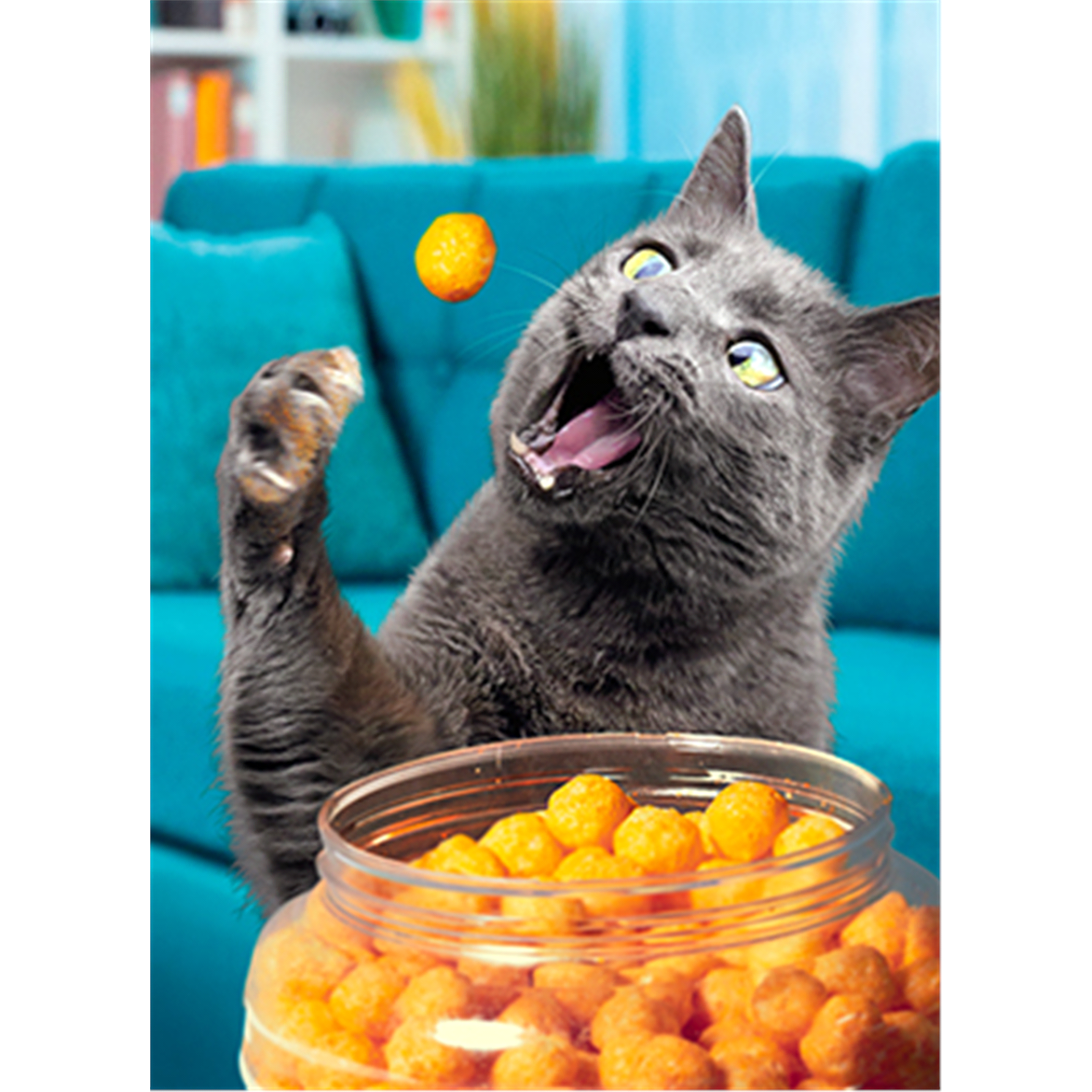 slide 1 of 1, Avanti Birthday Card Cat Popping Cheese Balls, 1 ct
