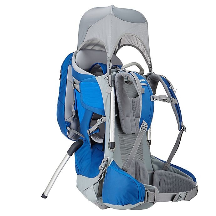 Thule sapling best sale elite child carrier