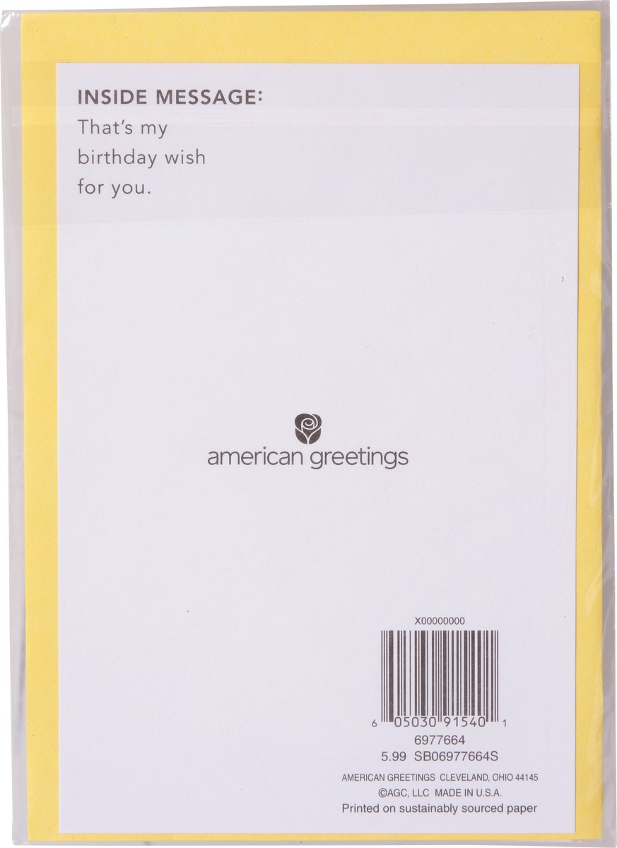 slide 9 of 9, American Greetings Nothing But Smiles Greeting Card 1 ea, 1 ct