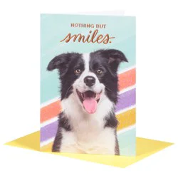 American Greetings Nothing But Smiles Greeting Card 1 ea