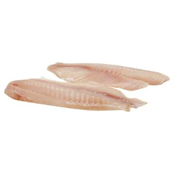 Pavilions Tilapia 1 ea