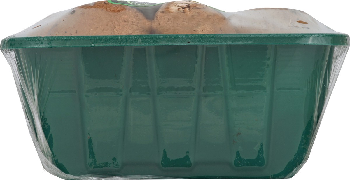 slide 2 of 4, Giorgio Organic Baby Bella Mushroom, 8 oz
