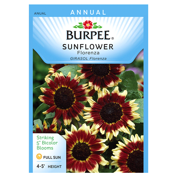 slide 1 of 1, Burpee Sunflower Florenza Seeds, 1 ct