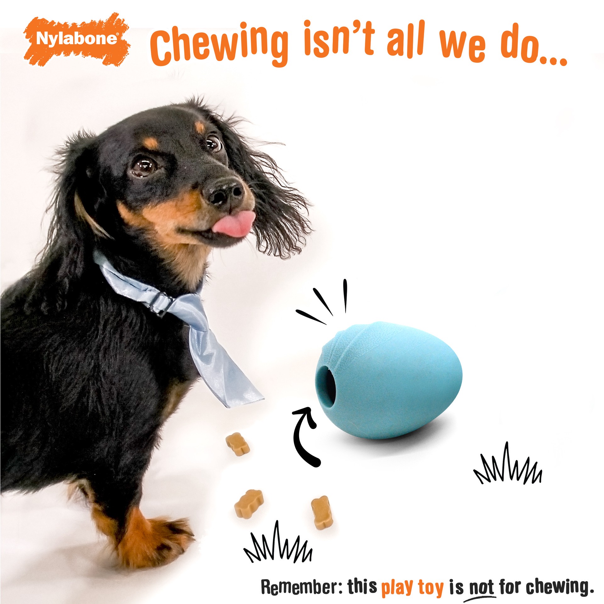 slide 3 of 10, Nylabone Creative Play Eggi Dog Treat Toy Blue Large/Giant - Up to 50 lbs.(1 Count), 1 ct