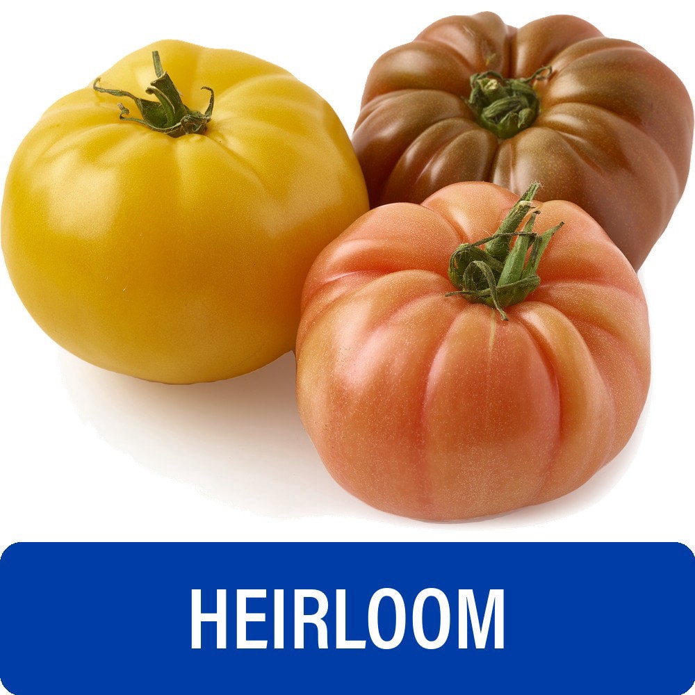 slide 1 of 4, Fresh Heirloom Tomato, 1 ct