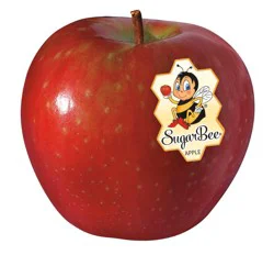 Large Sugarbee Apple - Each