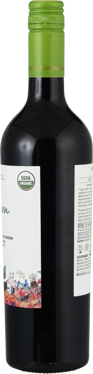slide 10 of 11, Virgen Uco Valley Mendoza Argentina Cabernet Sauvignon 750 ml, 1 ct