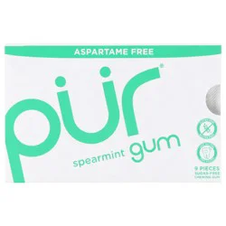 PUR Sugar-Free Spearmint Gum 9 Each