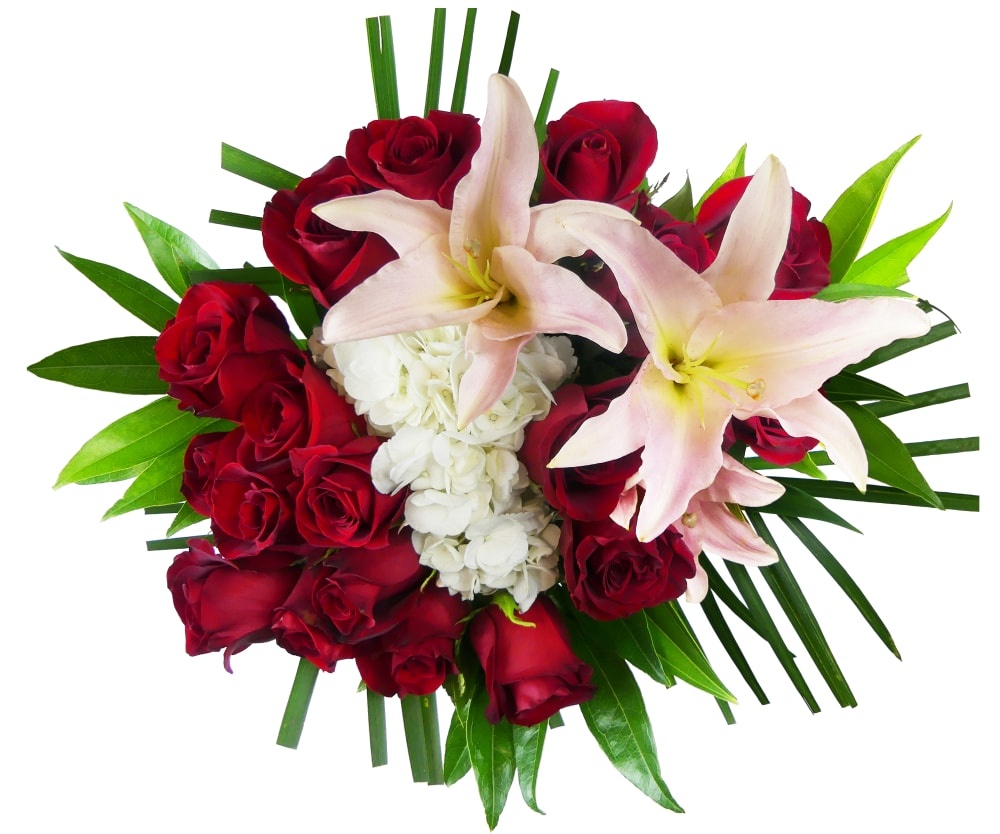 slide 1 of 1, BLOOM HAUS Noble Red Rose Boquet, 12 ct