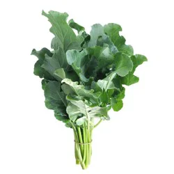 Broccoli Rabe - Rapini