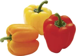 Organic Tray Color Peppers
