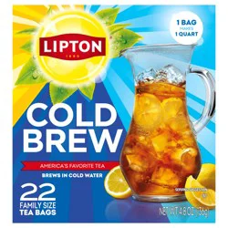 Lipton LPT TB Cold Brew Fam 6 22ct