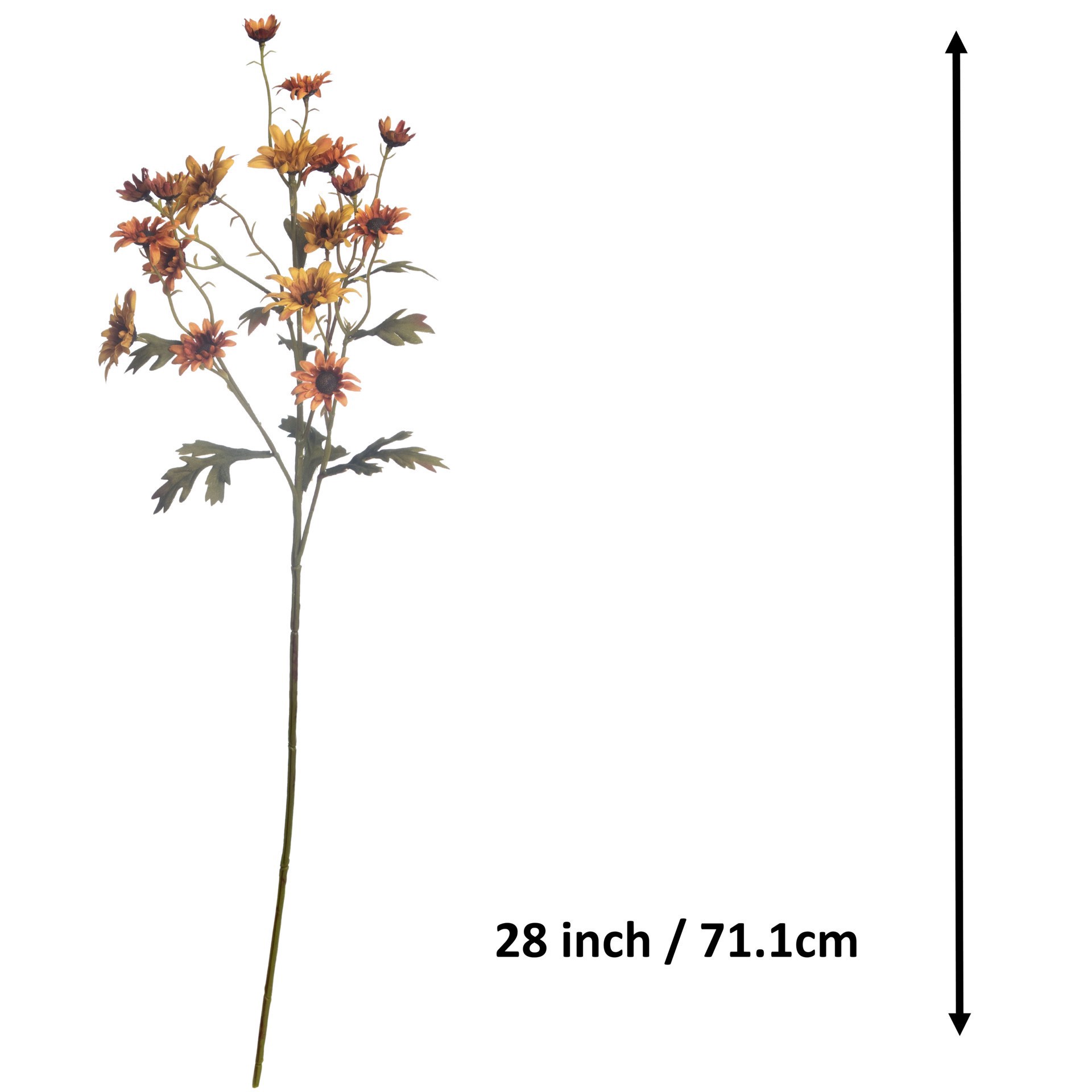 slide 3 of 3, 28" Yellow-Orange Wild Daisy Stem By Ashland, 7 in x 3 in x 28 in