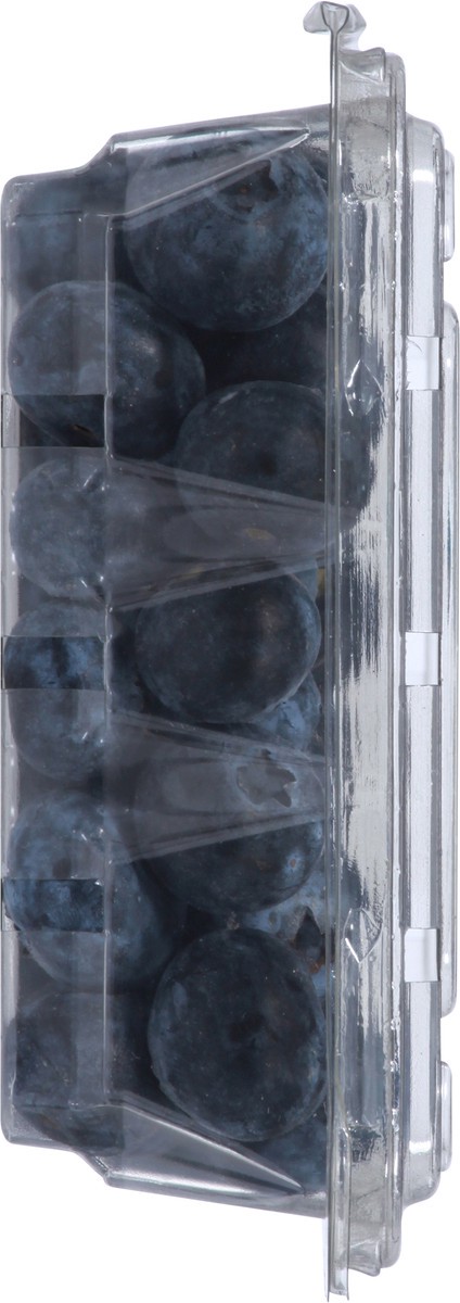 slide 7 of 9, United Exports Fresh Blueberries Jumbo 9.8 oz, 9.8 oz
