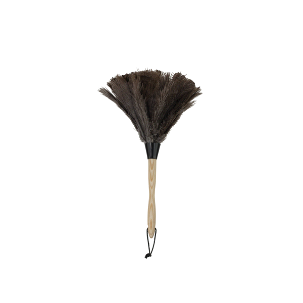 slide 1 of 1, Casabella Feather Duster, 1 ct