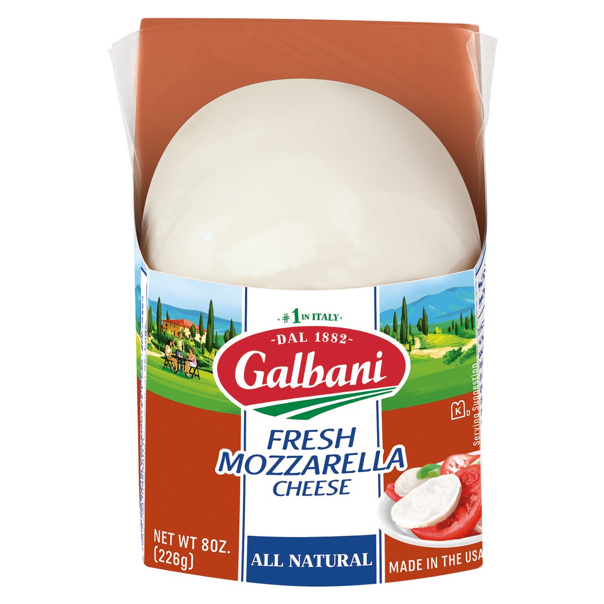 slide 1 of 9, Galbani Fresh Mozzarella Cheese, 8 oz, 8 oz