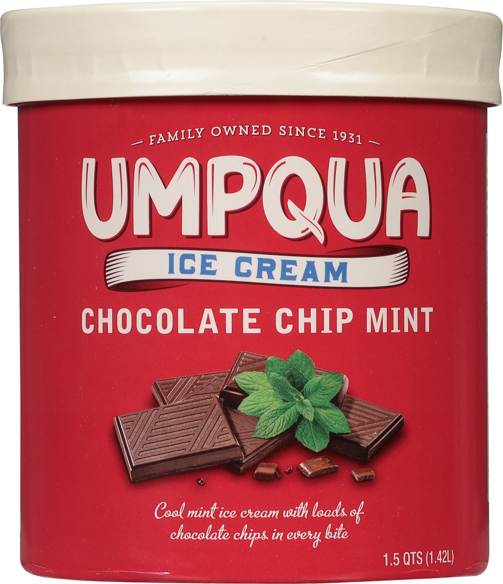 slide 9 of 9, Umpqua Chocolate Chip Mint Ice Cream 1.5 qt, 1.5 qt