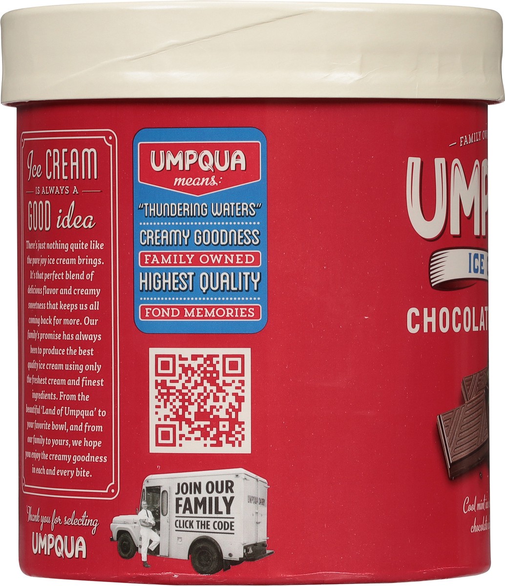slide 7 of 9, Umpqua Chocolate Chip Mint Ice Cream 1.5 qt, 1.5 qt