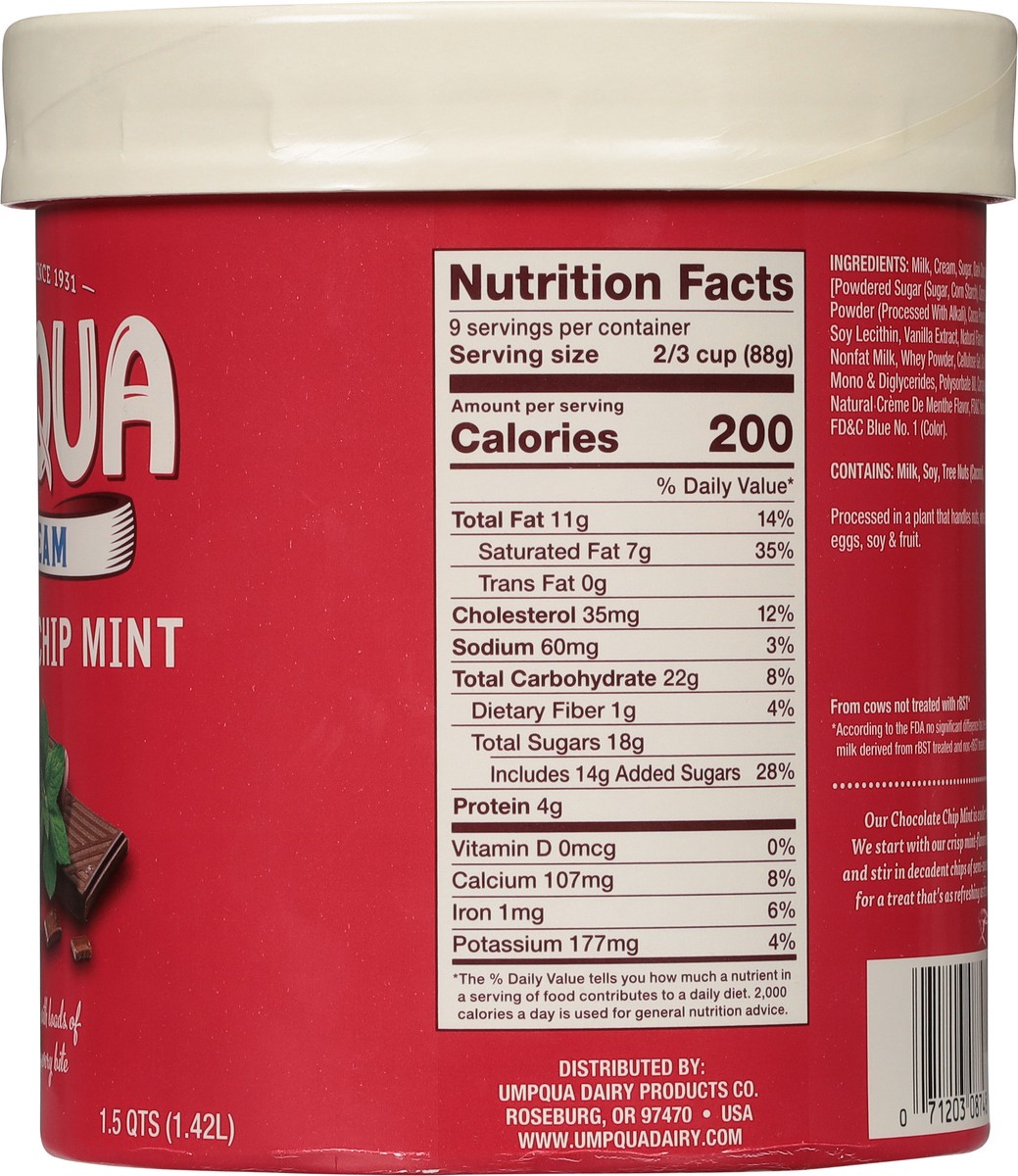 slide 5 of 9, Umpqua Chocolate Chip Mint Ice Cream 1.5 qt, 1.5 qt