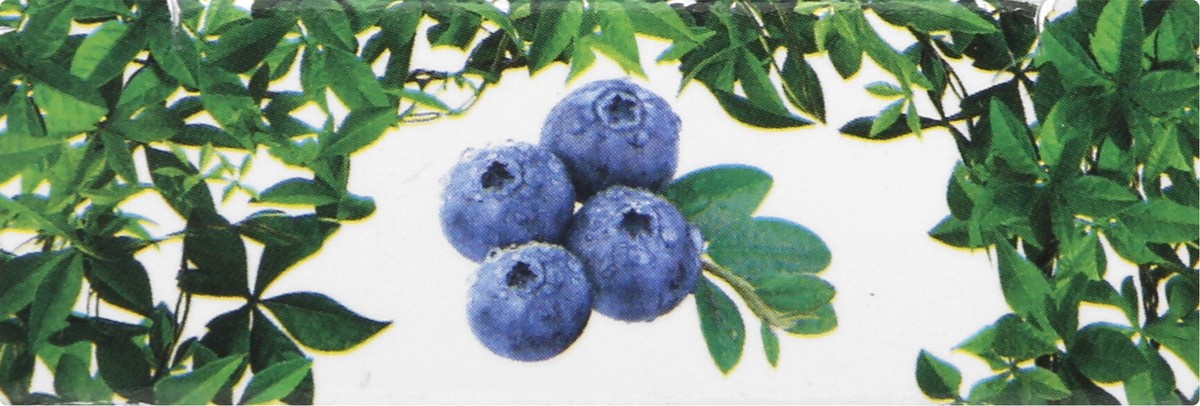 slide 2 of 9, Nailtopia Blueberry Long Kit 1 ea, 1 ct