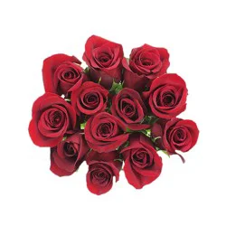 Dozen Rose Bunch