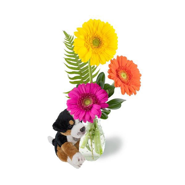 slide 1 of 1, Hy-Vee Hugs For You Arrangement, 1 ct