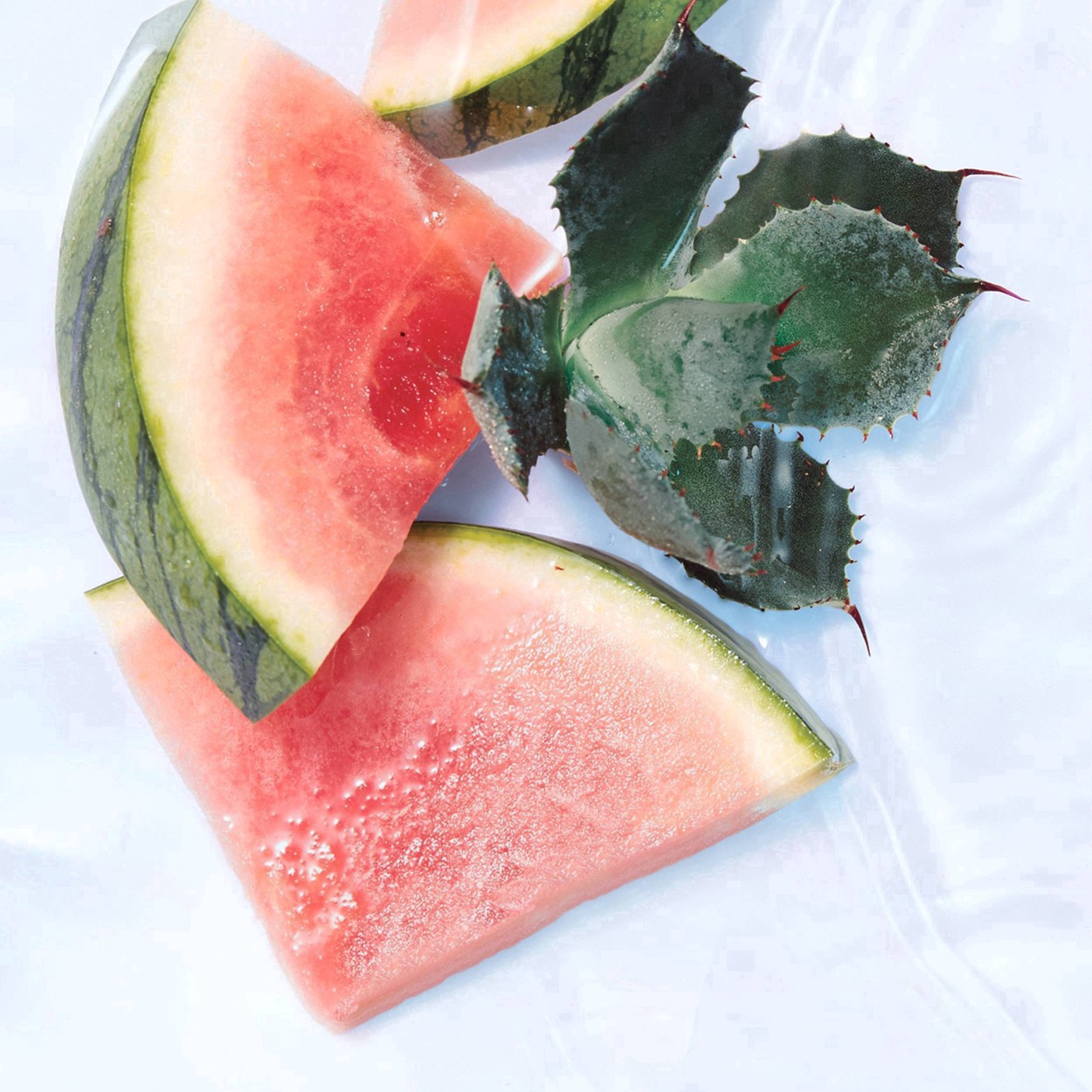 slide 31 of 31, Olay Fresh Outlast Notes of Watermelon & Agave Body Wash - 30 fl oz, 30 fl oz