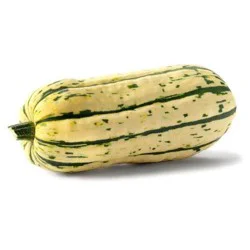 Squash- Delicata Organic