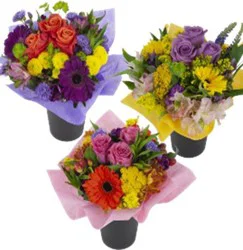 Fresh Spring Dutch Petite Arrangement