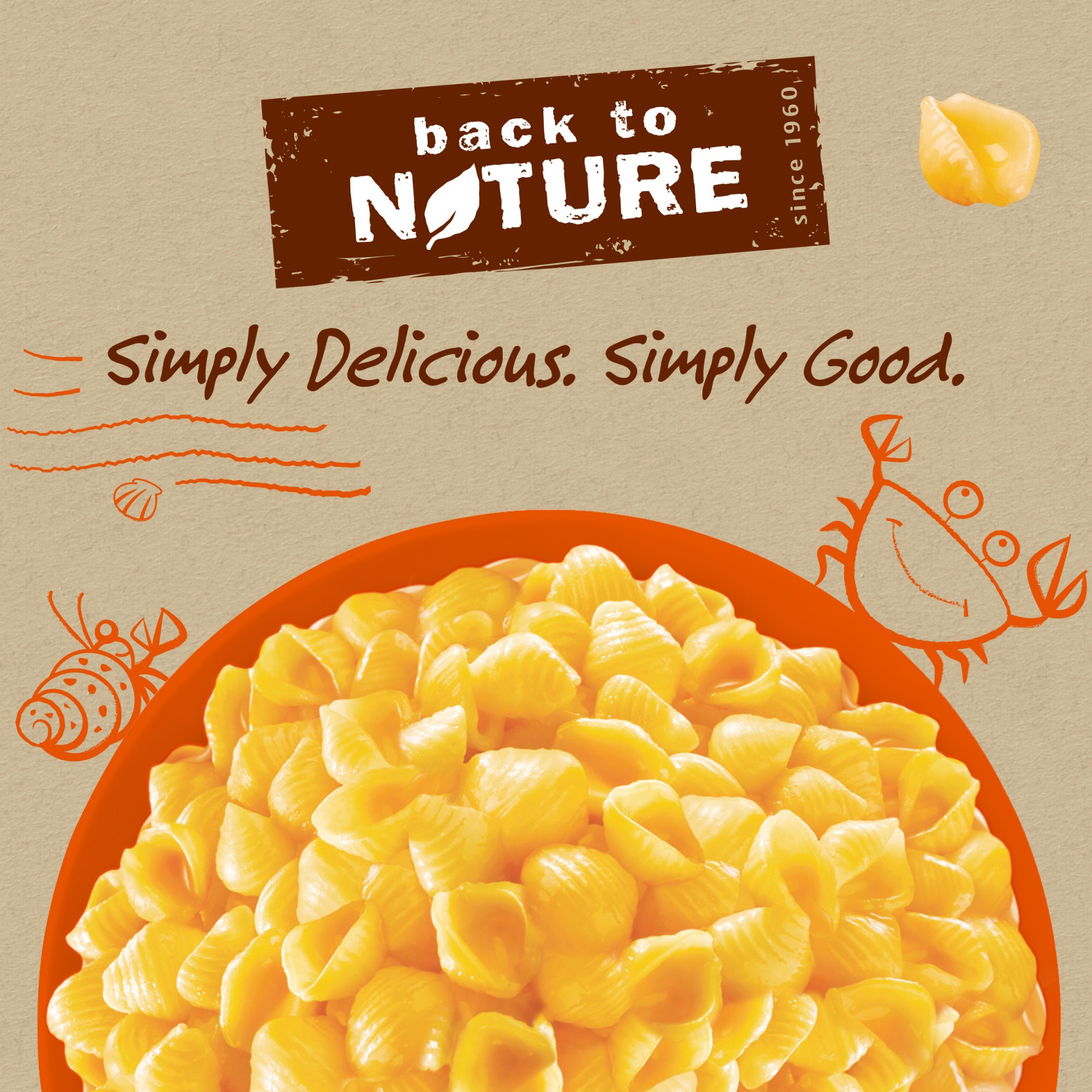 slide 7 of 11, Back to Nature Shells & Cheddar Organic Macaroni & Cheese Dinner, 6 oz