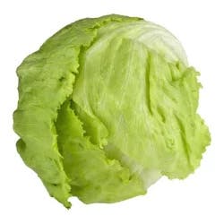 USDA Produce Foxy Organic Iceberg Lettuce