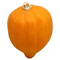 Fresh Gold Acorn Squash