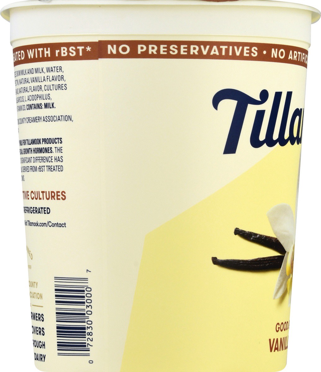slide 8 of 9, Tillamook Vanilla Bean Yogurt, 32 oz