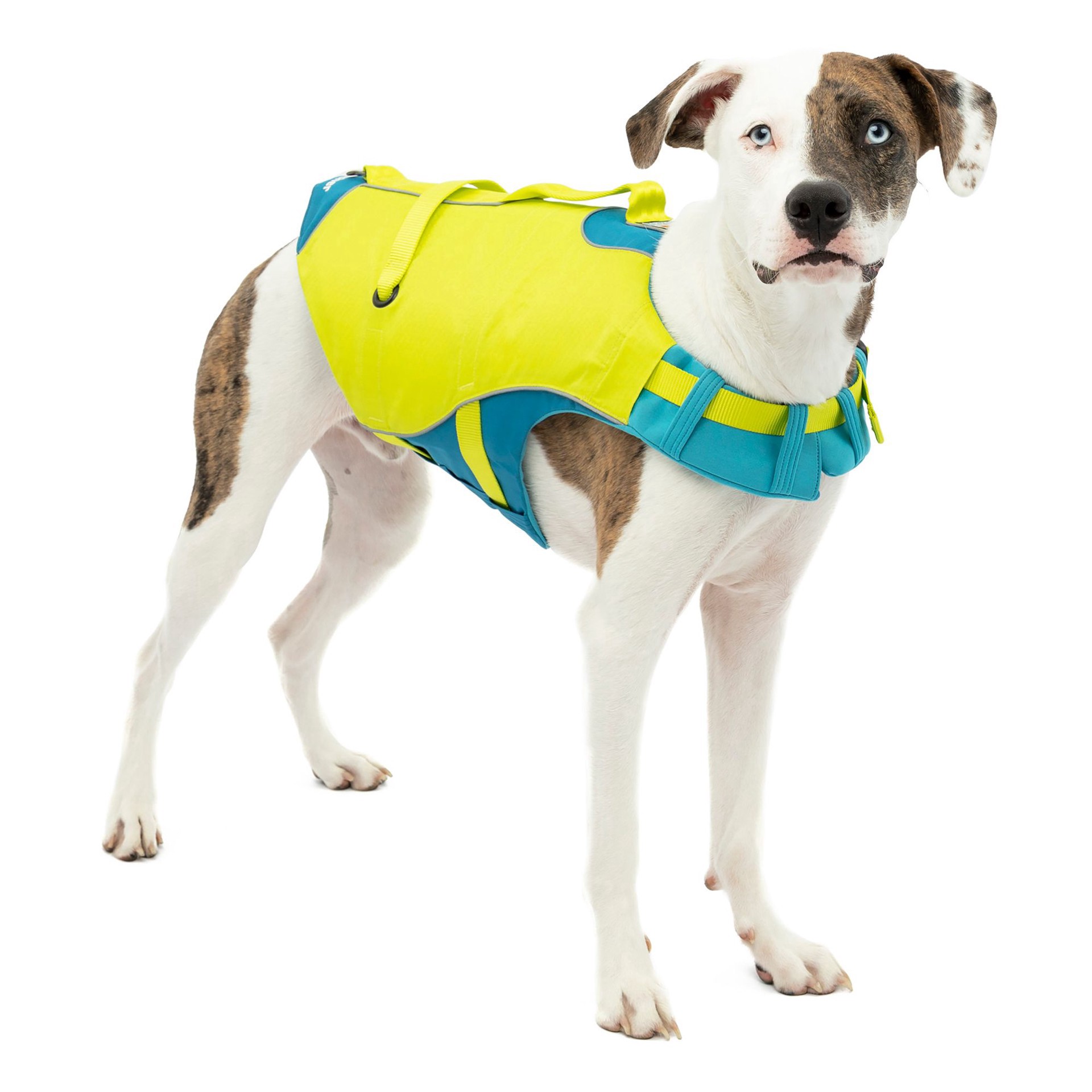 slide 1 of 1, Kurgo® Surf N' Turf Life Vest Harness X-Small, 1 ct; X small