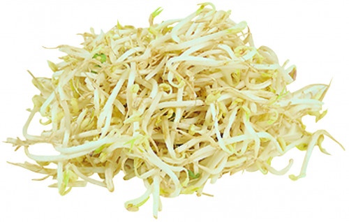 slide 1 of 1, L&H Bean Sprouts, 16 oz