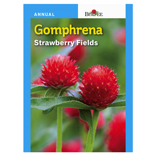 slide 1 of 1, Burpee Gomphrena Strawberry Fields Seeds, 1 ct