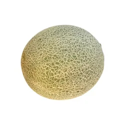 Cantaloupe Melon