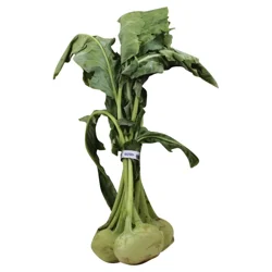 Kohlrabi