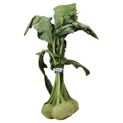 Kohlrabi