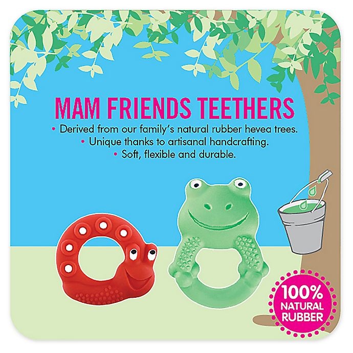 slide 6 of 7, MAM Friends Turtle Natural Rubber Teether - Green, 1 ct