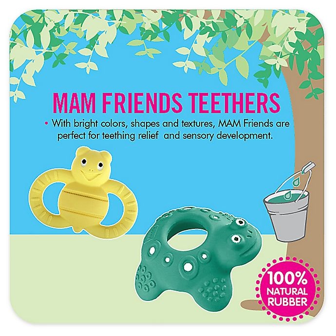 slide 7 of 7, MAM Friends Turtle Natural Rubber Teether - Green, 1 ct