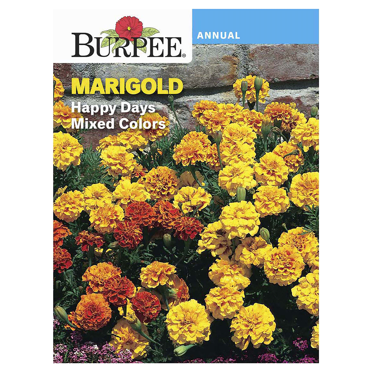 slide 1 of 5, Burpee Marigold Happy Days Mix Seeds - Multi-Color, 162 mg