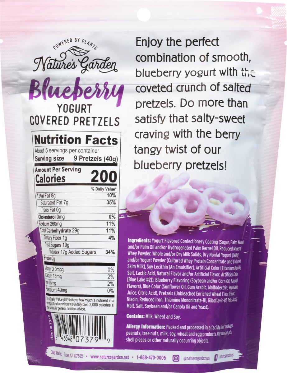 slide 6 of 9, Nature'S Garden Blueberry Pretzels - Each, 1 ct